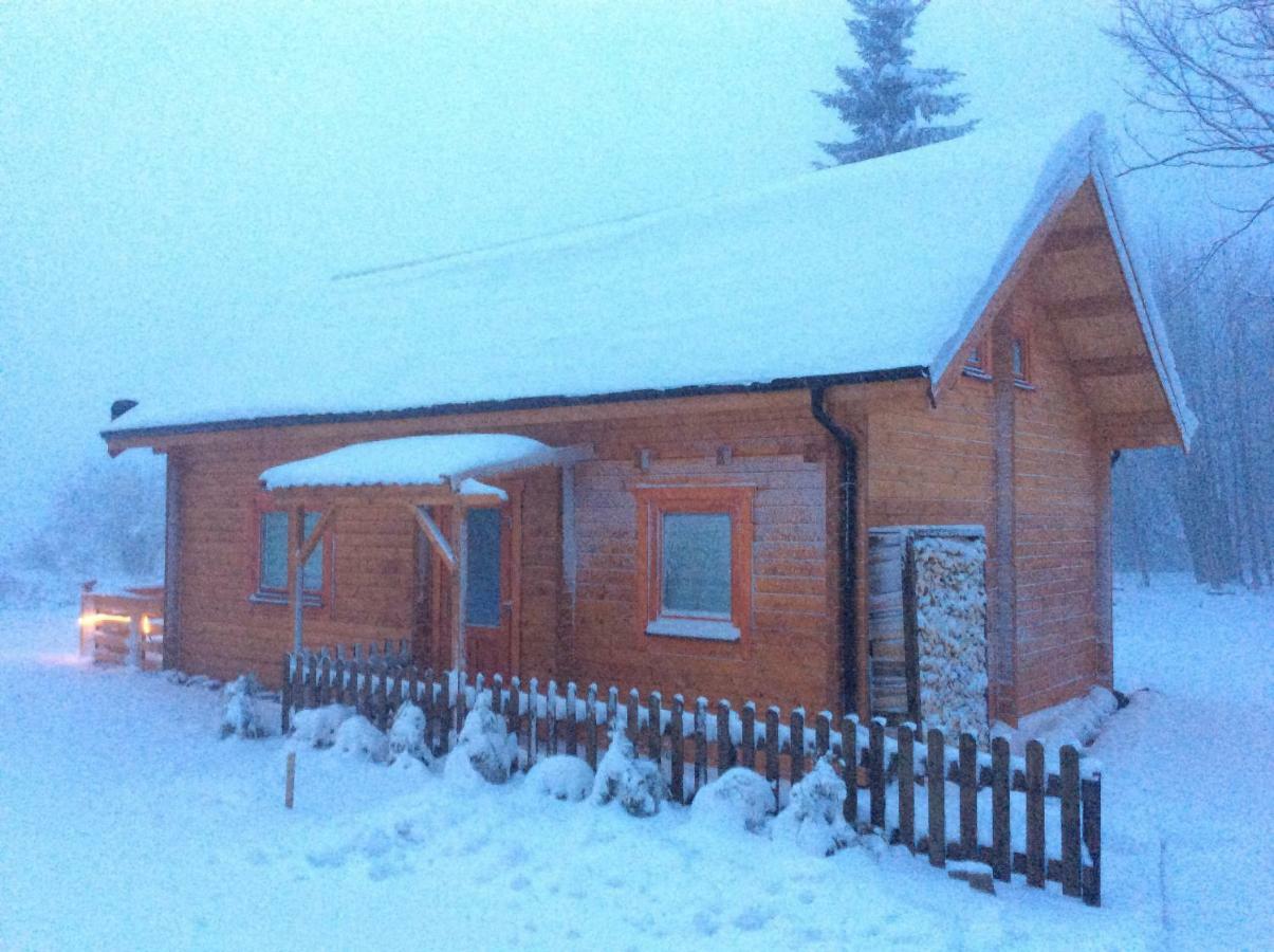 Blockhaus Harzblick Standard Villa Hohegeiss Exterior photo