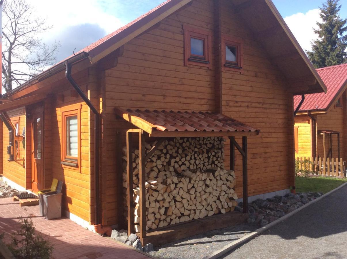 Blockhaus Harzblick Standard Villa Hohegeiss Exterior photo