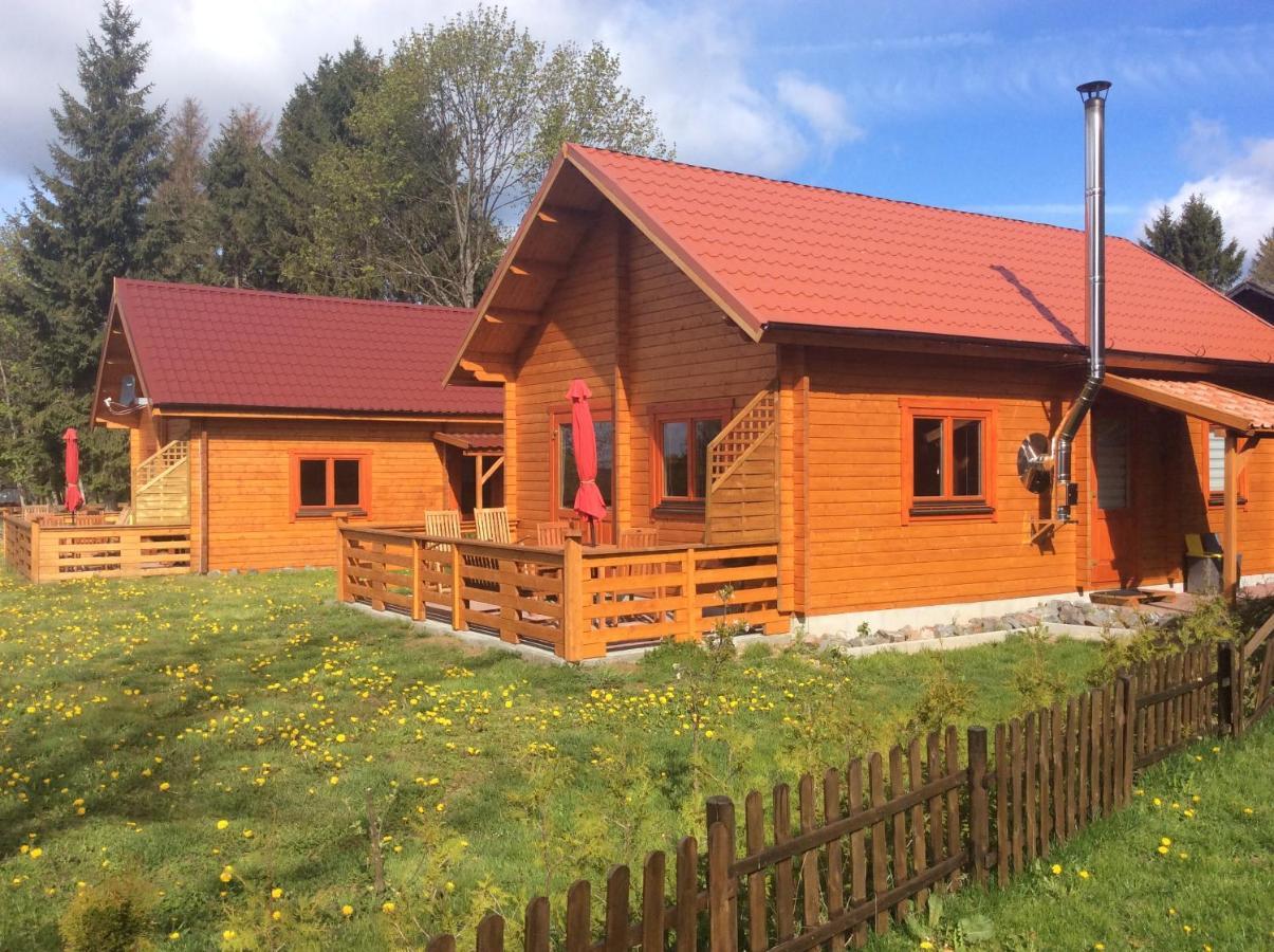 Blockhaus Harzblick Standard Villa Hohegeiss Exterior photo